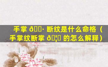 手掌 🌷 断纹是什么命格（手掌纹断掌 🦍 的怎么解释）